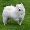 Miss_clara - @garrison_clara - TikTok