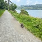 Clara Gorman - Facebook