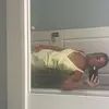 cj - @clarajgreene - TikTok