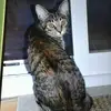 clarahammond2 - @clarahammond2 - TikTok