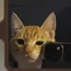 Clara Hampton - @clarahampton - TikTok