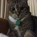 Clara M Henning - Facebook