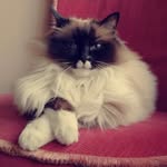 Clare Hinton - @clarehinton1 - Instagram