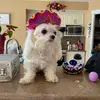 Tia8865 - @clarahinton - TikTok