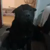 Clare Holmes - @clare.holmes58 - TikTok