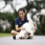 Clara Jaime Koh - @pokedog.training - Instagram