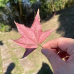Clare Kuo - Facebook