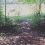 Clare Lanning - @clare.lanning - Instagram