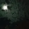clara Largeaud - @claralargeaud - TikTok