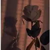 Claralauer - @claralauer - TikTok