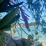 Maria Clara Lavender - @boadavida - Instagram