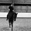 claralehner509 - @claralehner509 - TikTok