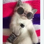 Clara Leiva - Facebook