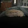 Clara - @clara.leyva15 - TikTok