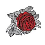 Clare Linderman - Facebook