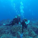 Clara Lund - @eatsleepdiving - Instagram
