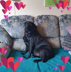 Claire Mclaughlin - Facebook