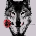 Clara McLaughlin - @wolflover2113 - Instagram