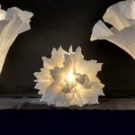 Clara Molina C - @lightlamp.cl - Instagram
