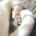 Clara Neumann - Facebook