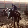 Claire Potts - @clairepotts406 - TikTok