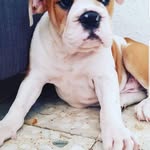 Clara Ramirez - @clararamirez9963 - Instagram