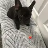 clararamirez282 - @clararamirez282 - TikTok