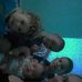 Clara Aurora Arias Roa - Facebook