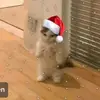 clarasutton009 - @clarasutton009 - TikTok