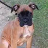 Clare Sutton - @clare.sutton8 - TikTok