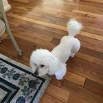 Clara Willis - @clarawillis5797 - Instagram
