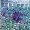 user1942673996967 - @clara.willis0 - TikTok