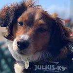 Clare Amos - @clare.davies72 - Instagram