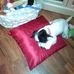 Clare Andrews - Facebook