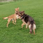 Clare Ball - @george.and.the.weasels - Instagram