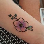 Clare barnes - @clarebarnes7069 - Instagram