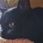 Clare Baxter - @clarebaxter2 - Instagram