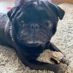 Clare benson lester - @lesterclarebenson - Instagram