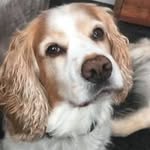 Clare Boyce - @boyce4930 - Instagram