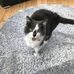 Clare Buck - Facebook