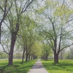 Clare Cameron - @niagaraclare - Instagram