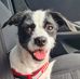 Clare Choi - Facebook