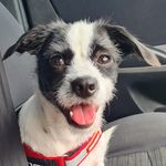 Clare Choi - @choi.clare - Instagram