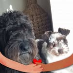 Clare Clark - @clare.clark.796 - Instagram