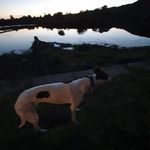 Clare Clark - @clare.clark.71 - Instagram