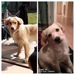 Clare Clark - @clare.clark80 - Instagram