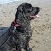 Clare Clements - Facebook