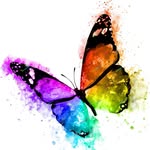 Clare Collins - @mariposareikihealing - Instagram