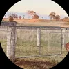 clare cox - @clare.cox0 - TikTok