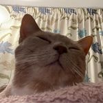 Clare Haylock Crane - @clarec1971 - Instagram